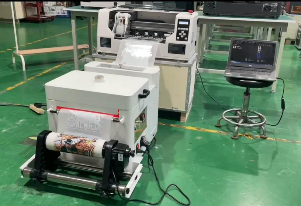 30CM DTF Printer with Single H - Commercial Dtf Printing review and price